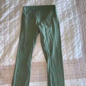 Palm court aligns 25 in size 6